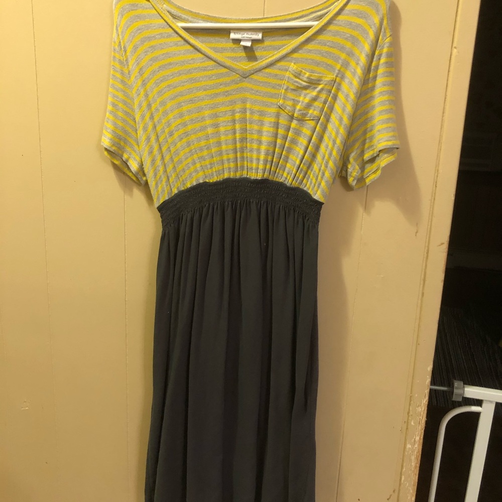 Cinched Liz Lange maternity dress